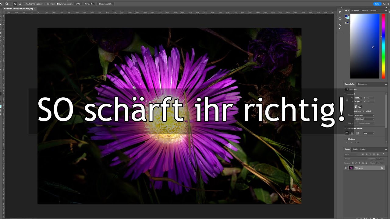 Schärfen in Lightroom und Photoshop | SO werden deine Fotos scharf!