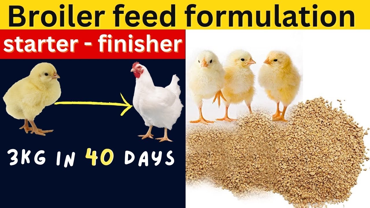 Broiler feed formulation (starter - finisher) 3kg in 40 days