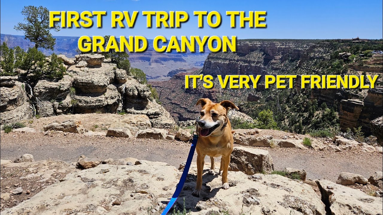 First RV Trip To The Grand Canyon, It's Pet Friendly #rv #grandcanyon #petfriendly