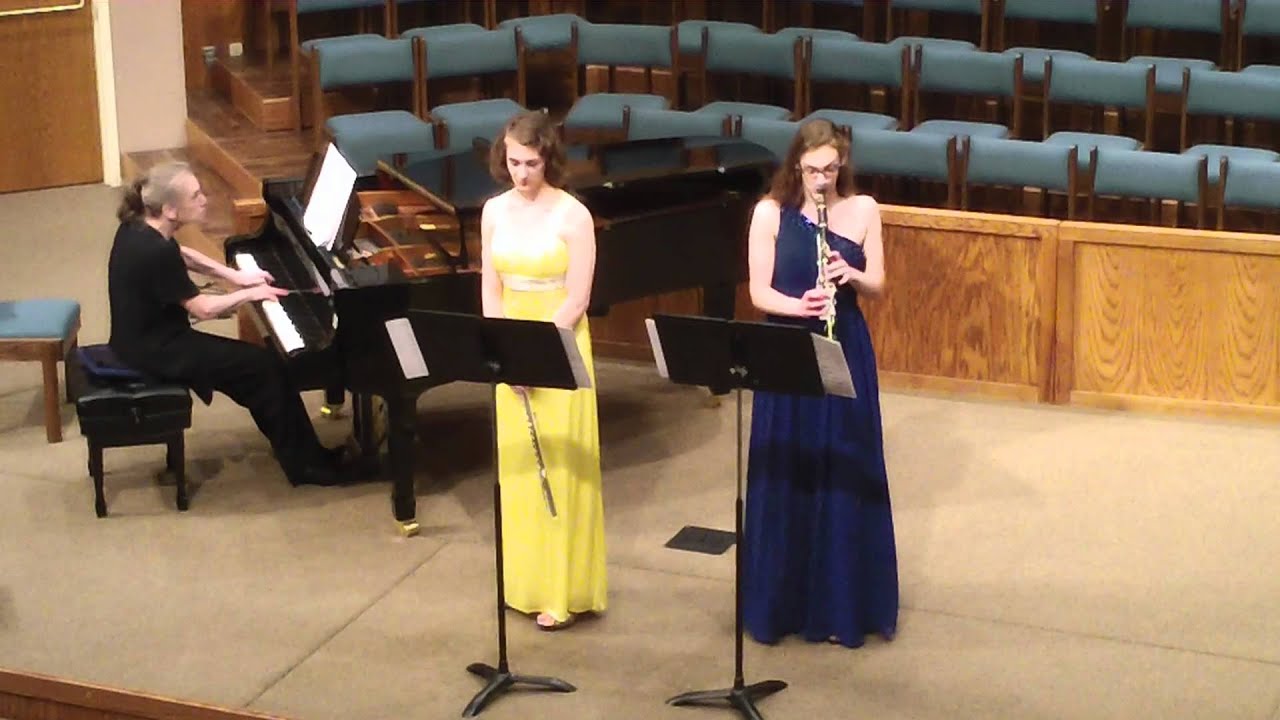 Franz Danzi -- Concerto for flute and clarinet