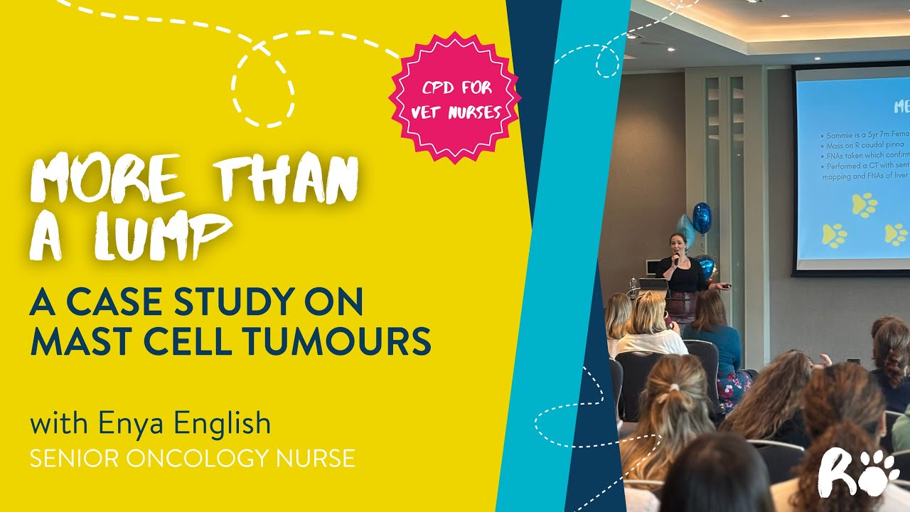 More Than a Lump: A Case Study on Mast Cell Tumours