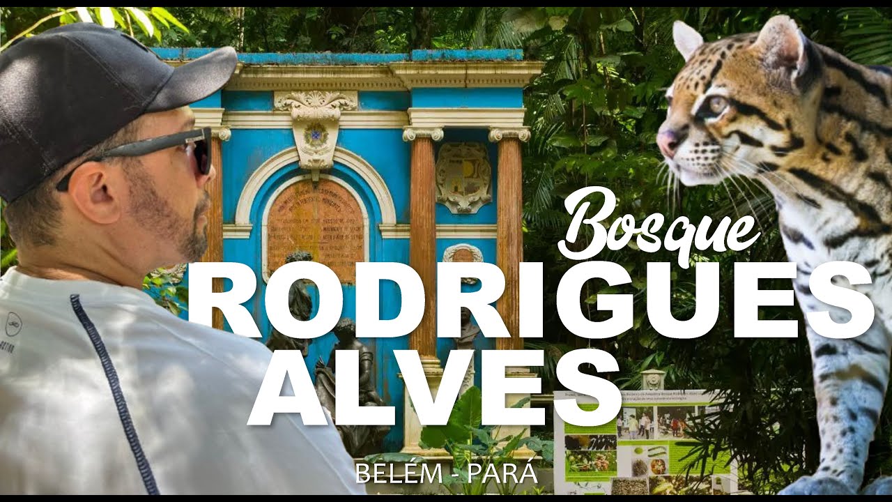 Será o MELHOR BOSQUE de Belém?