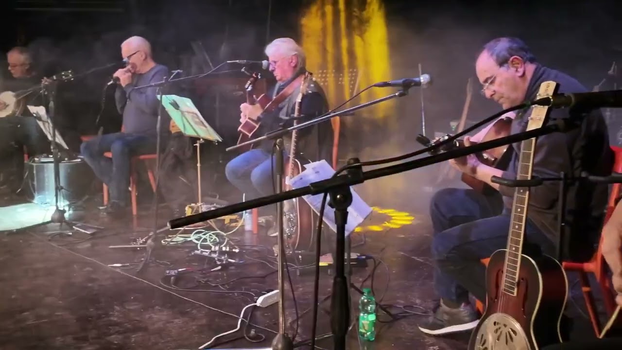 Rabbit is in a log - Country blues band 