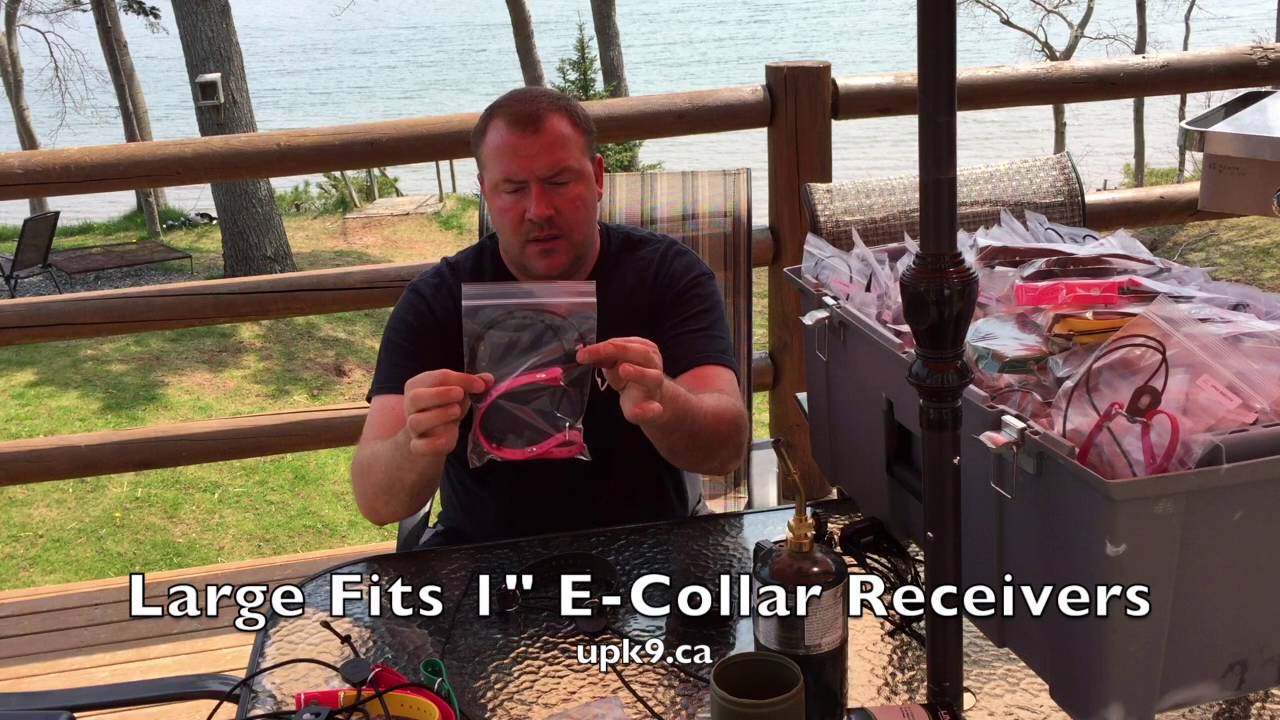 Biothane Comfort Sure Fit Bungee E - Collar Strap  Product Review with Duke Ferguson