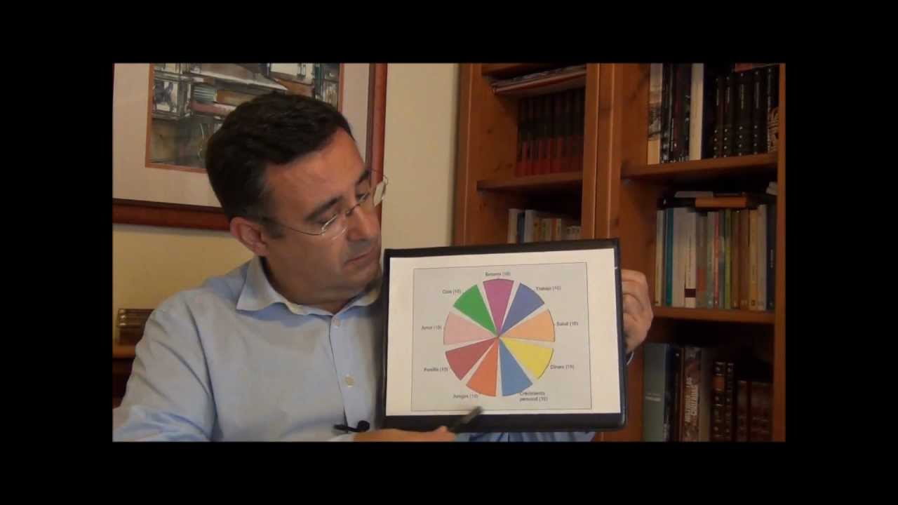 Coaching & PNL 1 Rueda de la Vida