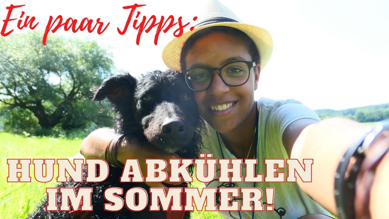 Hund abkühlen im Sommer | Hundepool, Kühlmatte, Kühlweste und Co.