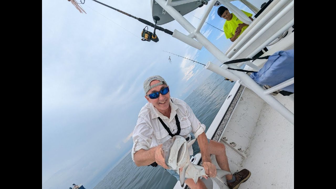 Cobia Hunting and Reef Fishing in the Chesapeake Bay. July 2024