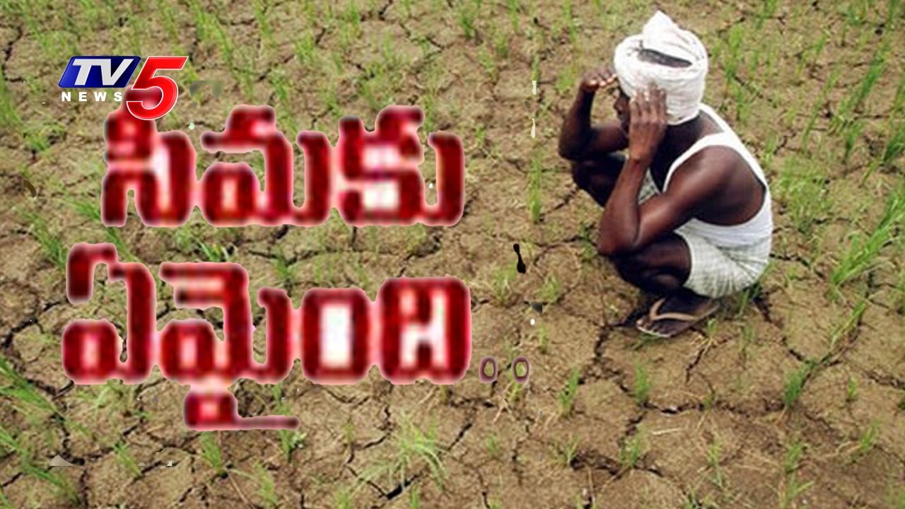 Peculiar Situation In Rayalaseema | Severe Drought Hits Farmers In Anantapur | TV5 News