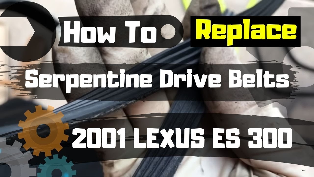 How To Replace Serpentine / Drive Belts | 2001 LEXUS ES 300