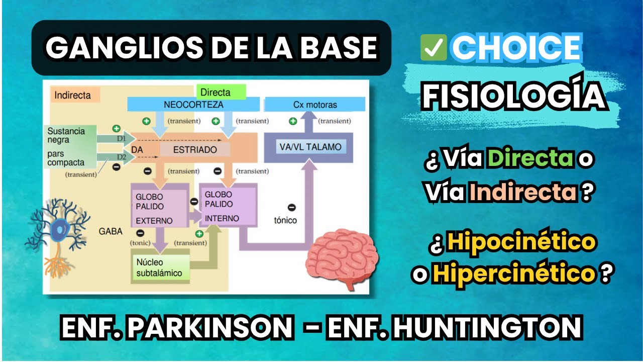 Parkinson vs Huntington: Trastornos de los Ganglios Basales | Fisiología