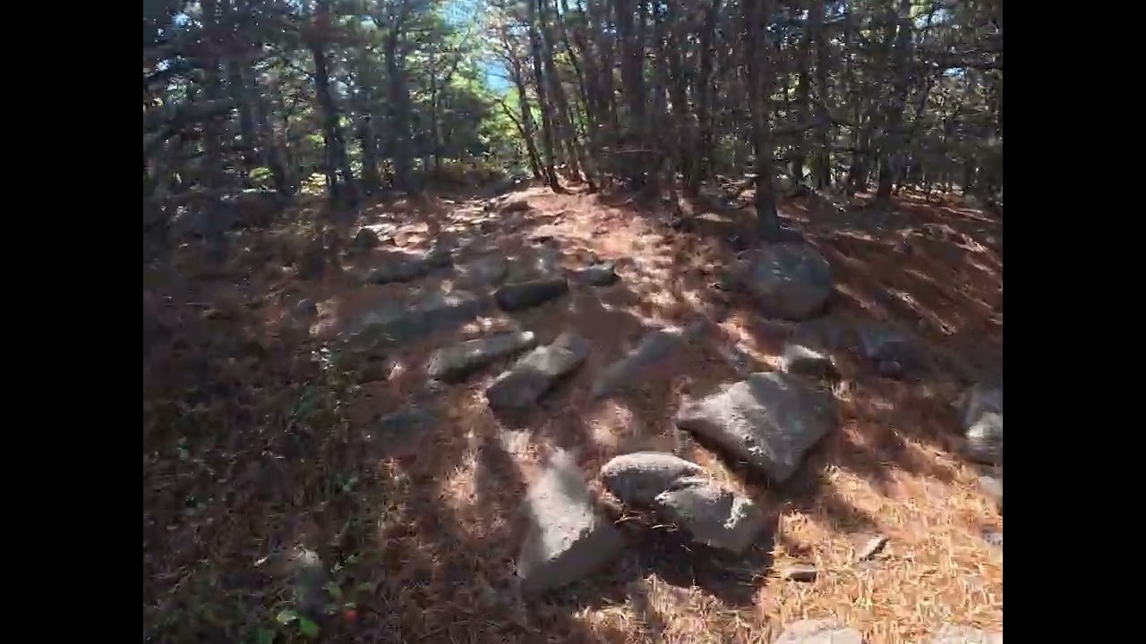 Cadillac Mountain Hike | Dog-Friendly North Ridge to South Ridge Trail in Acadia