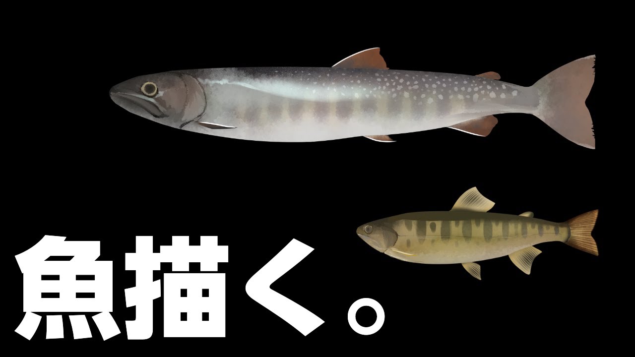【お絵かき配信】さかなかく！カニもサンショウウオも許せるけど君が「魚」は無理あるわ！！！！！でも頻出種だからいいよ【Fish Drawing】 ＃にたりん電波あり #個人勢VTuber