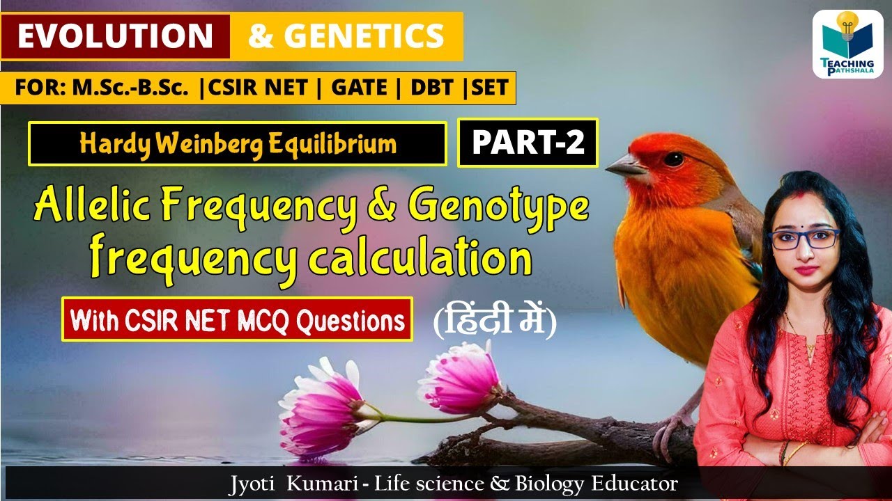 Hardy Weinberg Equilibrium Frequency Calculation || Allelic and genotype frequency