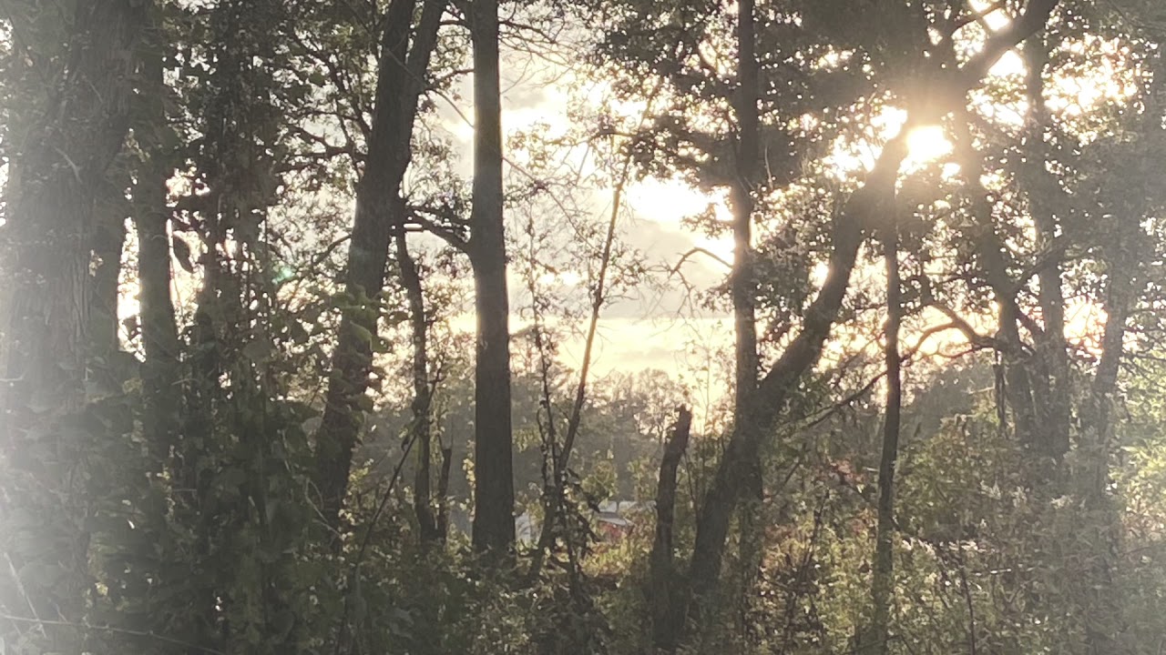 ‘leave’ by xxxtentacion (slowed, reverb)