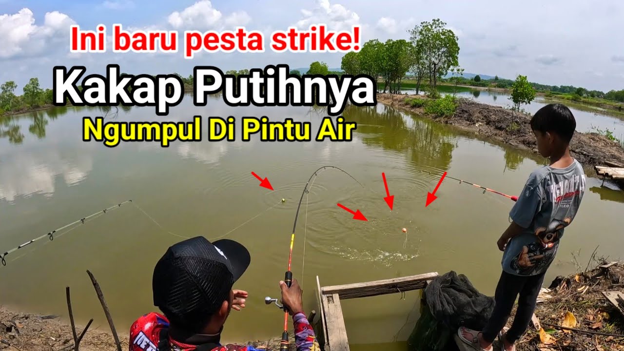 Mancing Kakap Putih Baru Lempar Umpan Langsung Pesta Strike