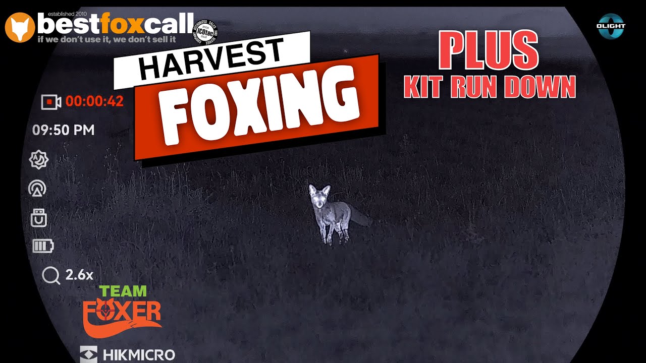 Уборка урожая Foxing 6 за 1 ночь