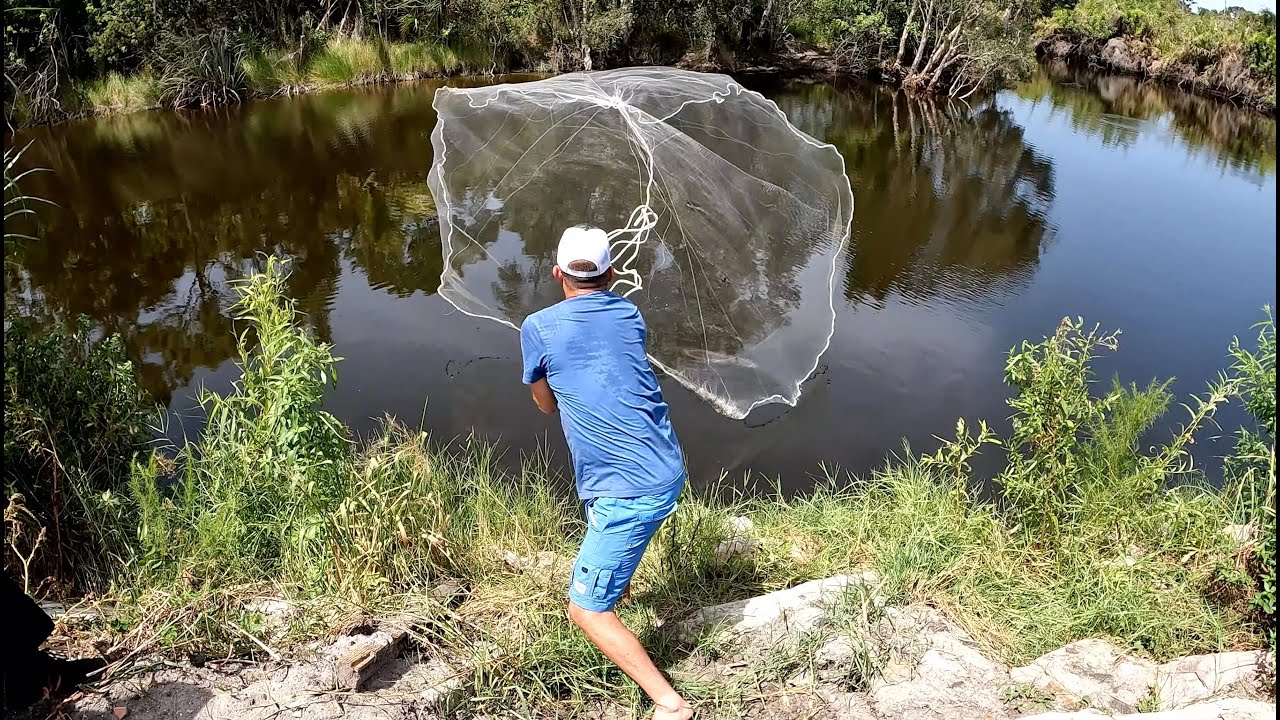 CAST NETTING Hundreds of fish for my pond!!!