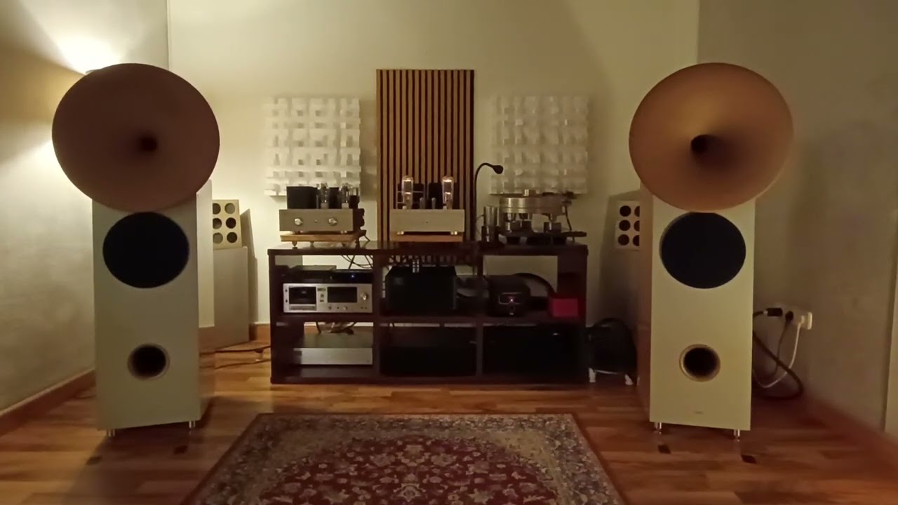 symphony 10 horns(2)