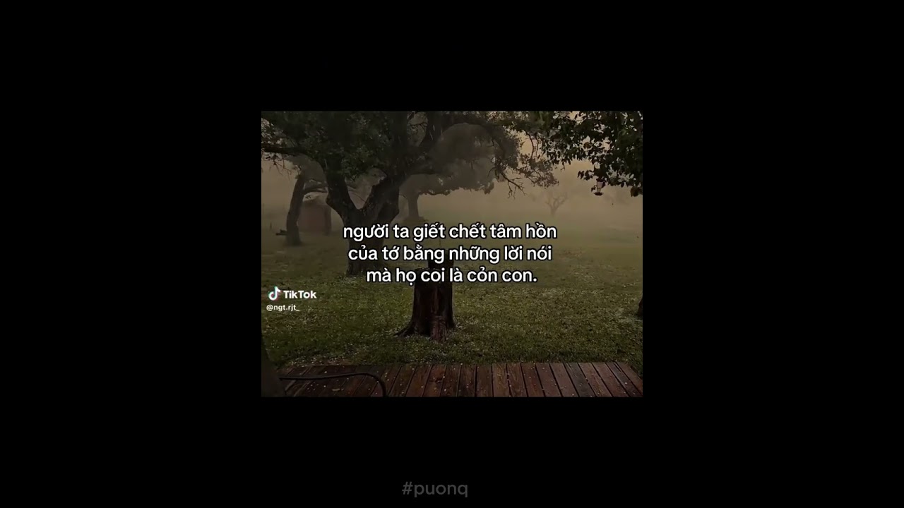 | Tổng hợp tiktok caption tâm trạng | #1/bong/