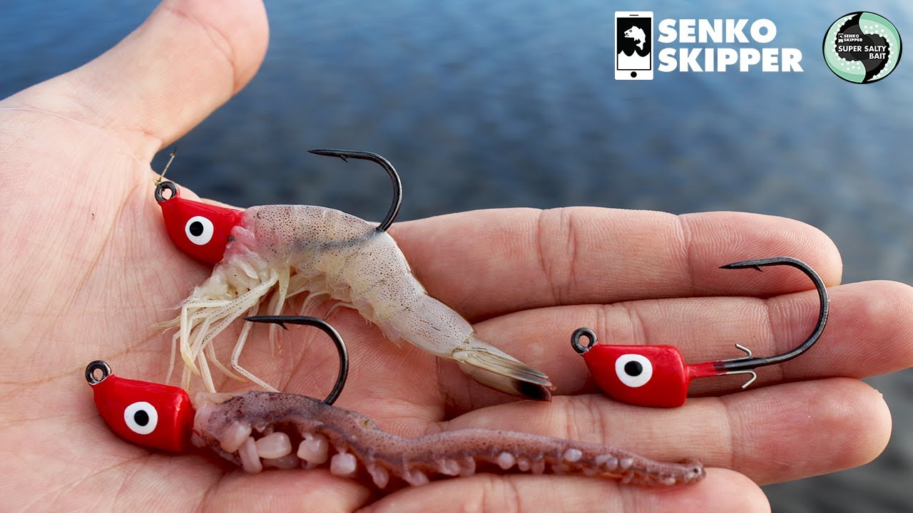 This Fishing Rig catches EVERYTHING! Saltwater Inshore Fishing