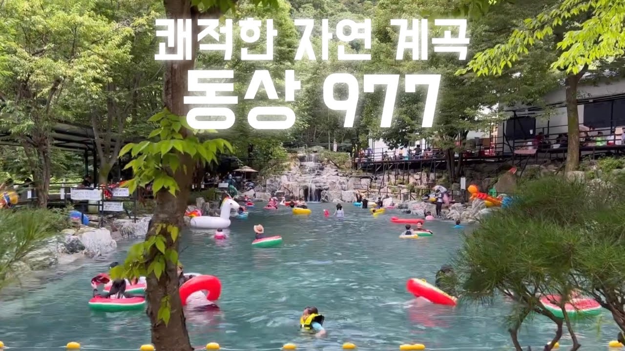 전북완주 😍 아쿠아틱파크아마존 vs 동상977 🛟 비교해보세요!