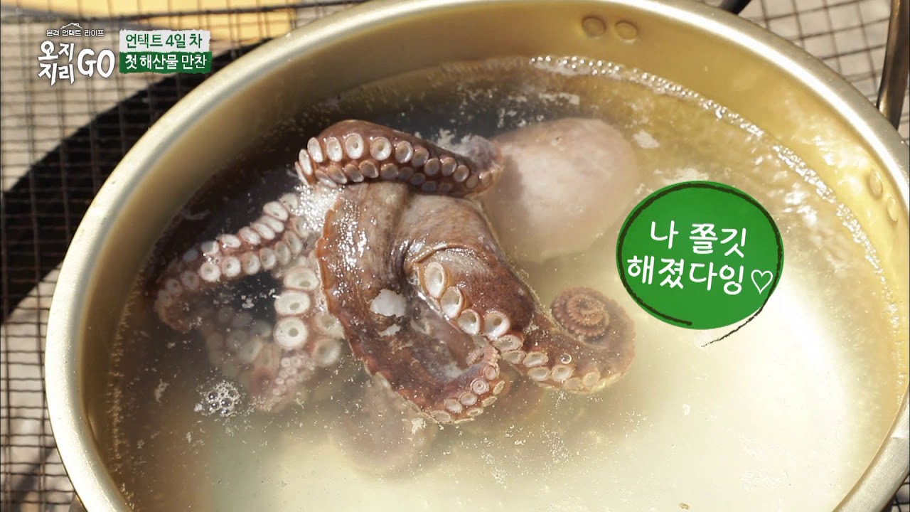 모르는 게 없는 집밥 김힘찬 선생! [오지GO 지리GO] 4회