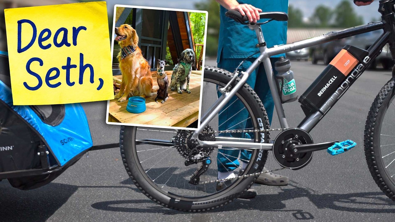 Necesitaba una bicicleta para sus perros rescatados, ¡así que construí una!