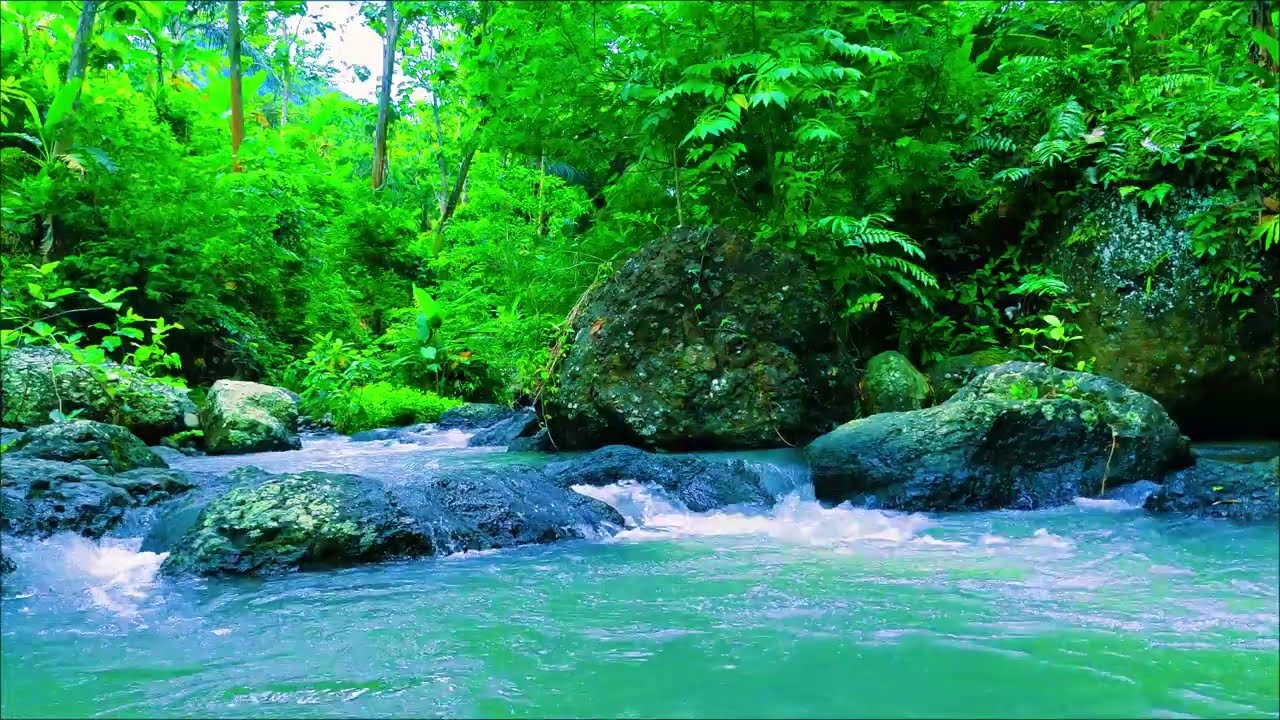 Soothing Nature Sounds, Soft Water Flowing Sounds in Beautiful Dense Forests, White Noise