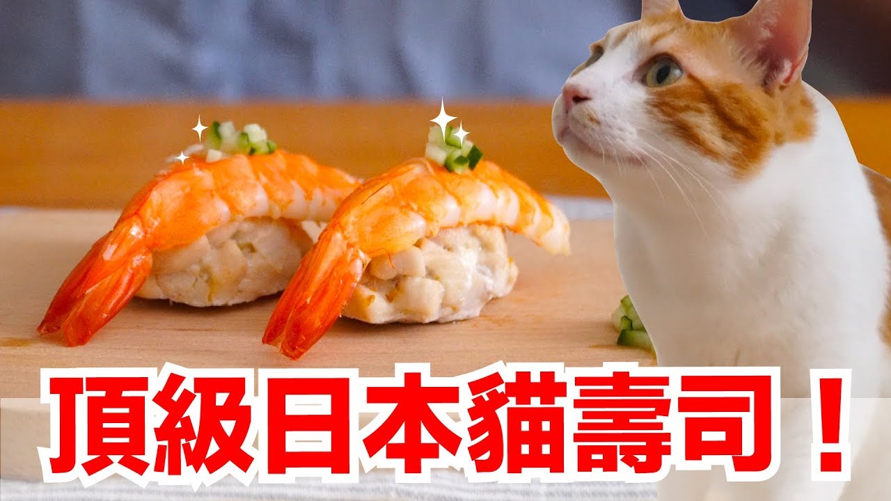 橘皮努力的忍住了！超高誘貓力壽司【貓副食食譜】好味貓鮮食廚房EP151