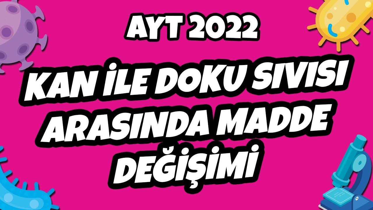 Kan İle Doku Sıvısı Arasında Madde Değişimi | AYT Biyoloji 2022 #hedefekoş