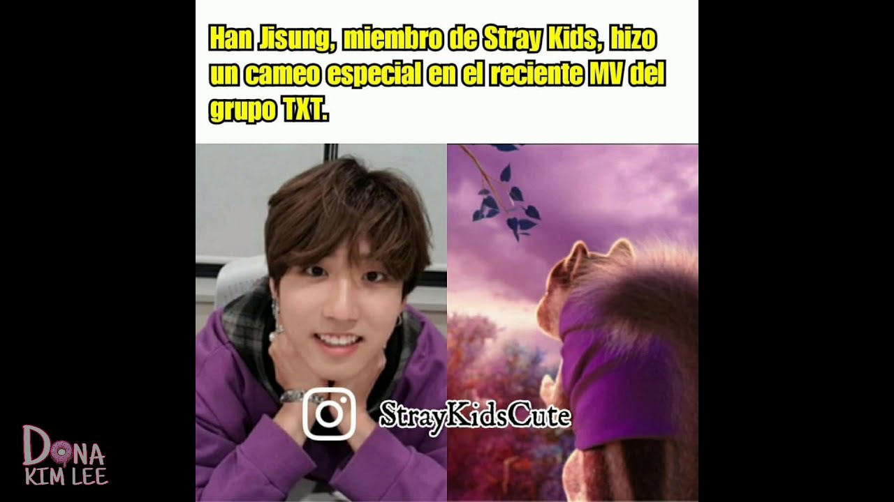 STRAY KIDS 😂 MEMES EN ESPAÑOL 😂 #1