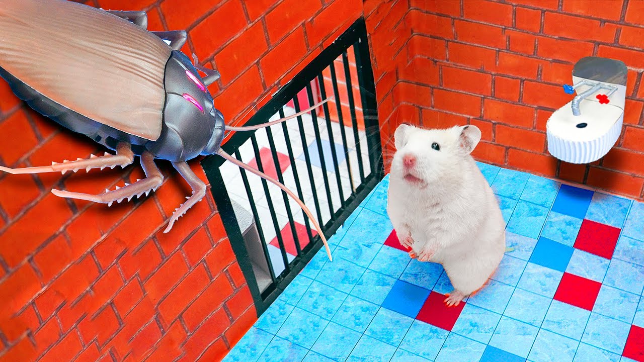 Hamster Run Away From Giant Cockroach 🐹 Confront Minecraft Police In Prison Maze