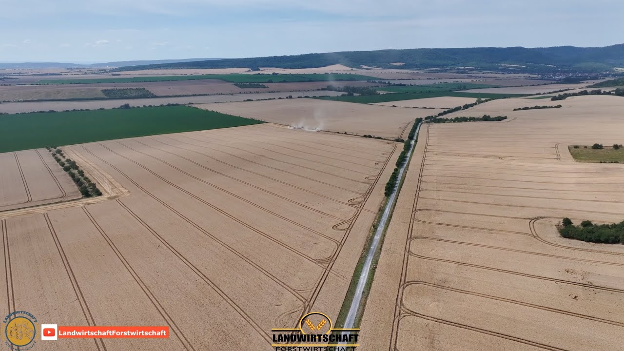 Das muss alles ab! 4500ha Getreide & Raps mit 4 Claas LEXION 8700 auf 2 Standorten LU Hesselbach