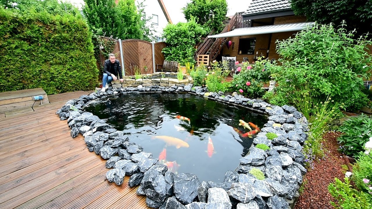 Modern Koi Blog 