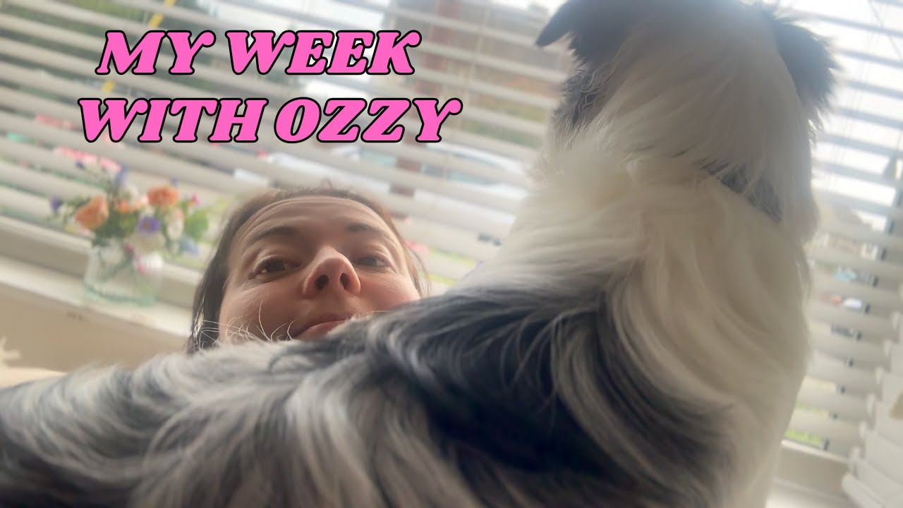 A Rather Raw Vlog! Dogsitting my sisters puppy! (It was tough!) || 2025 Video Diary