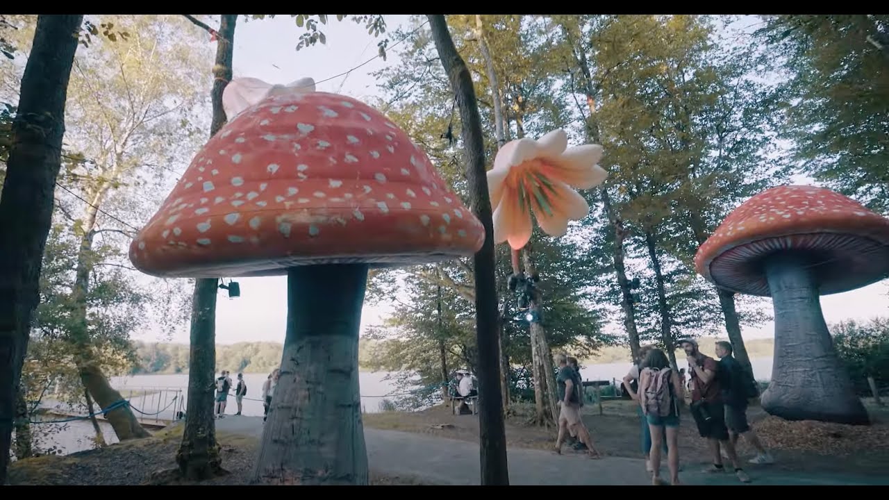 Aftermovie - Les Eurockéennes en Résidence Secondaire