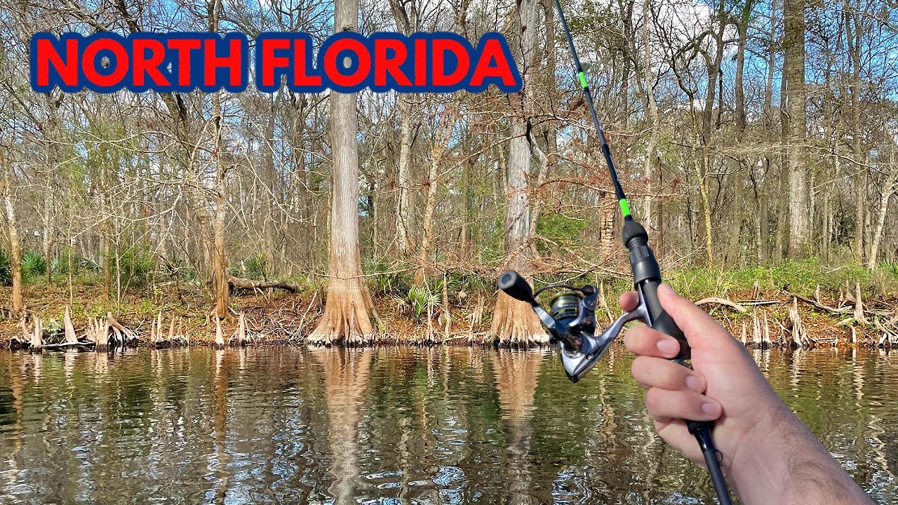 Fishing in the North Florida Natural Springs