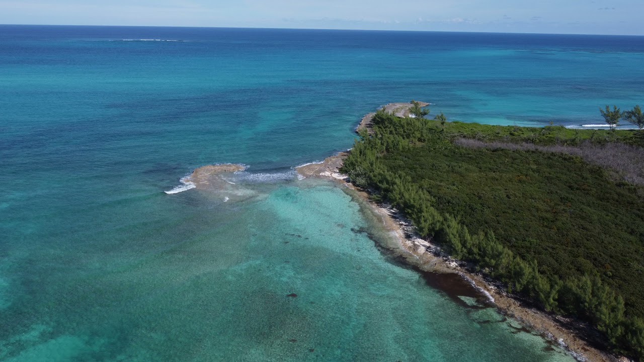 Powell Cay 2021