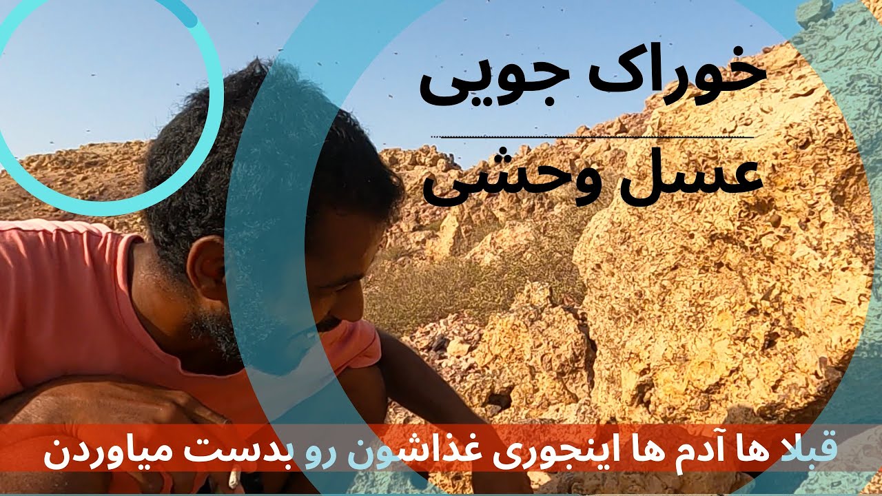 شکار عسل وحشی : عسل کوهی جنوب ایران -عسل کنار  /wild honey of Iranian nature hengam island
