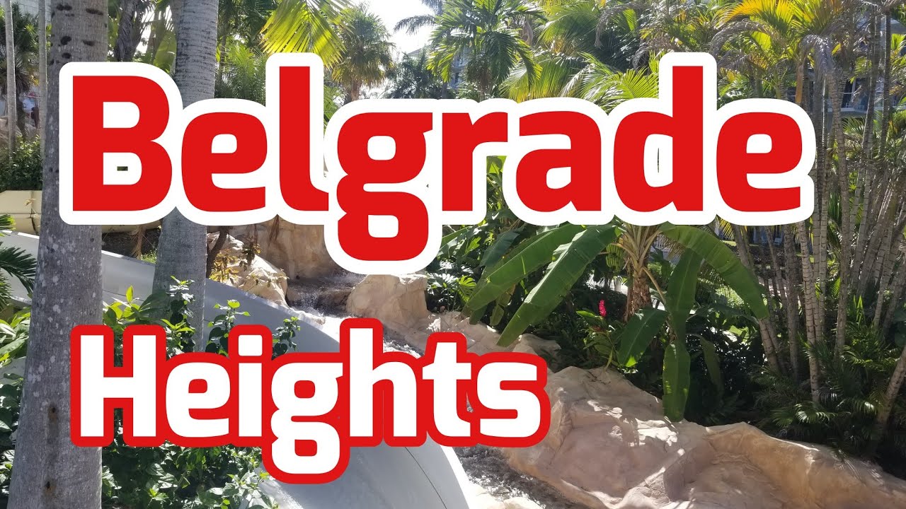 Belgrade Heights | Jamaica