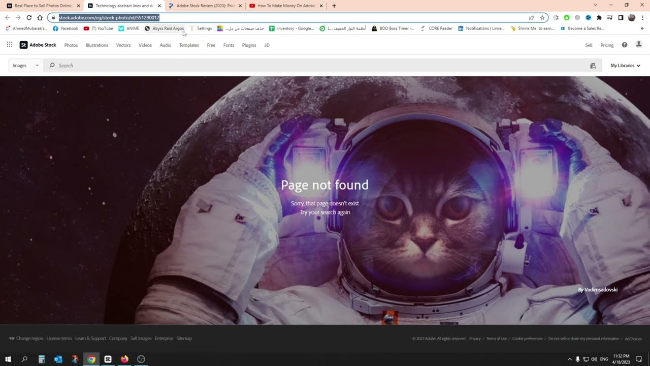 تجربتي في بيع الصور على أدوبي ستوك للمبتدئين - العمل علي الانترنت  Adobe Stock