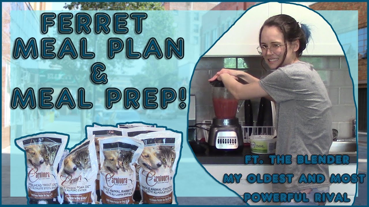 My Ferret Meal Plan & Meal Prep With Me ❤️