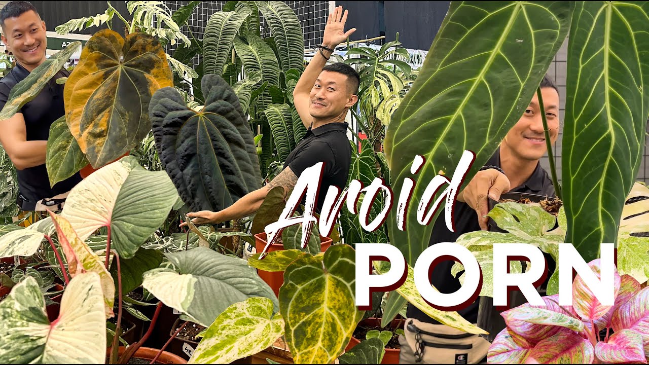 Think Aroid Market is DONE? TONS of NEW and Gorgeous Varieties at FLOII Plant Show - Indonesia 🇮🇩