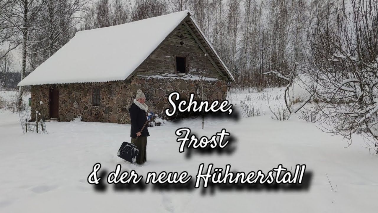 Schnee, Frost & der Bau eines neuen Hühnerstalls auf dem Hof in Lettland + Rezept für Sauerteig-Zopf
