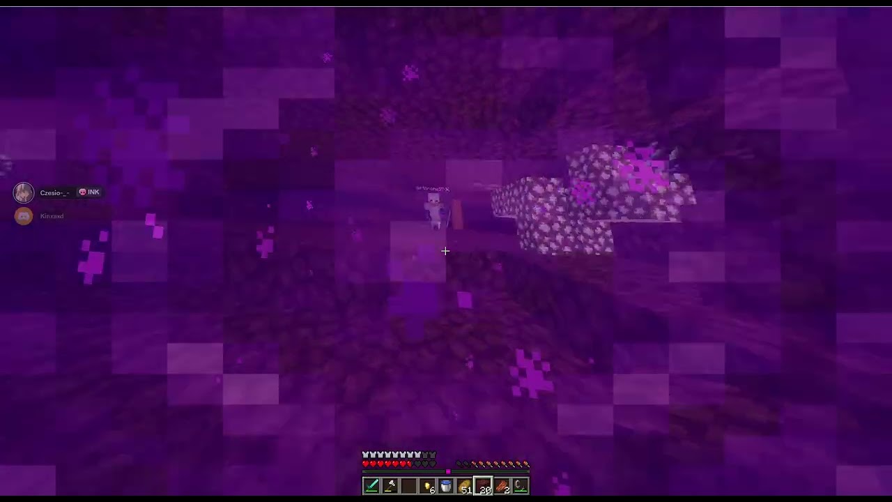 #nether #minecraft