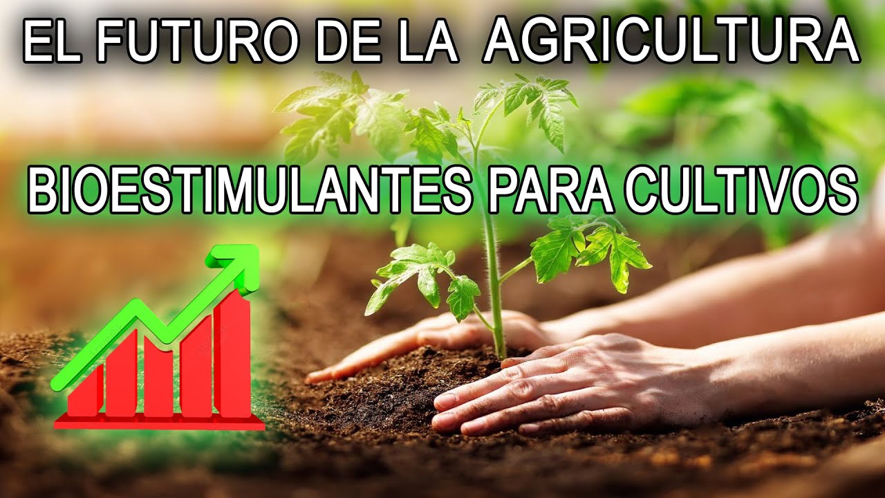 Bioestimulantes: Revolución para la Agricultura Sostenible 🌱🔬