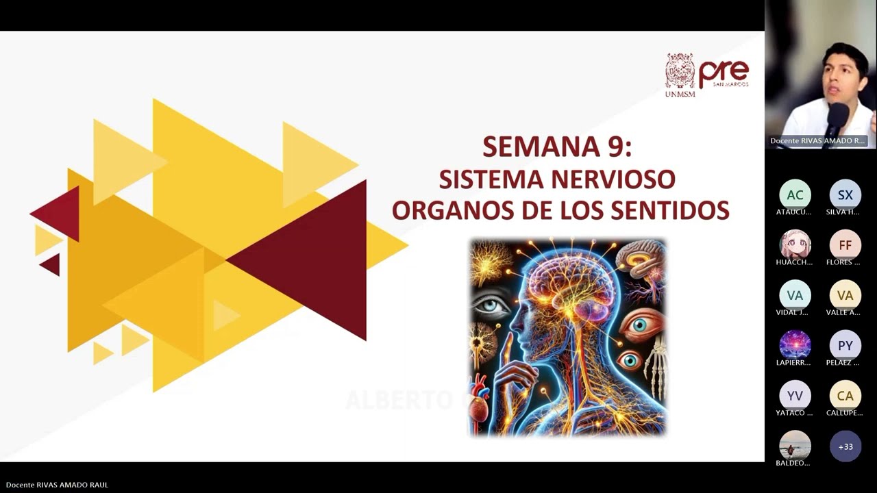 Biología - Semana 09 - Pre San Marcos Ciclo 2024-II (Nuevo Ciclo)