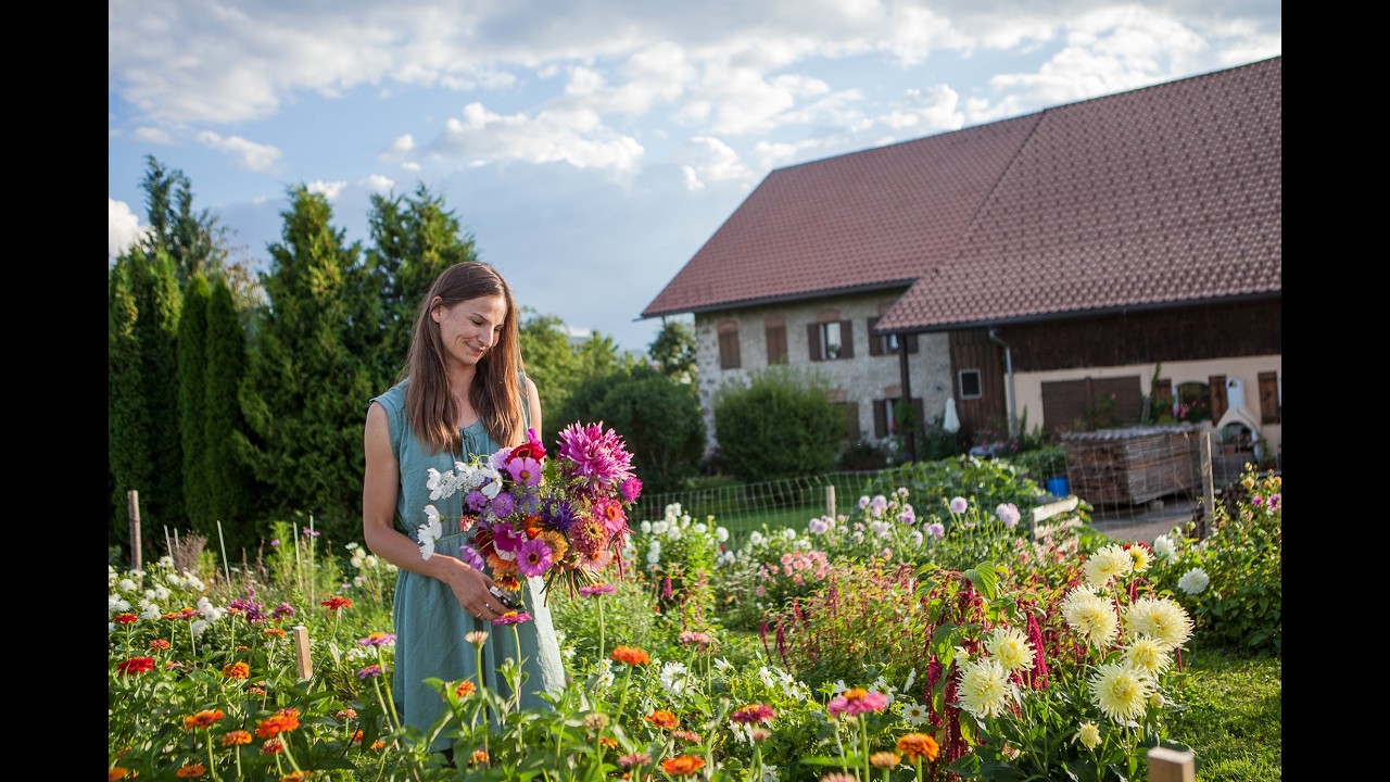 Blühende Vielfalt – Bio-Schnittblumen vom Bauernhof