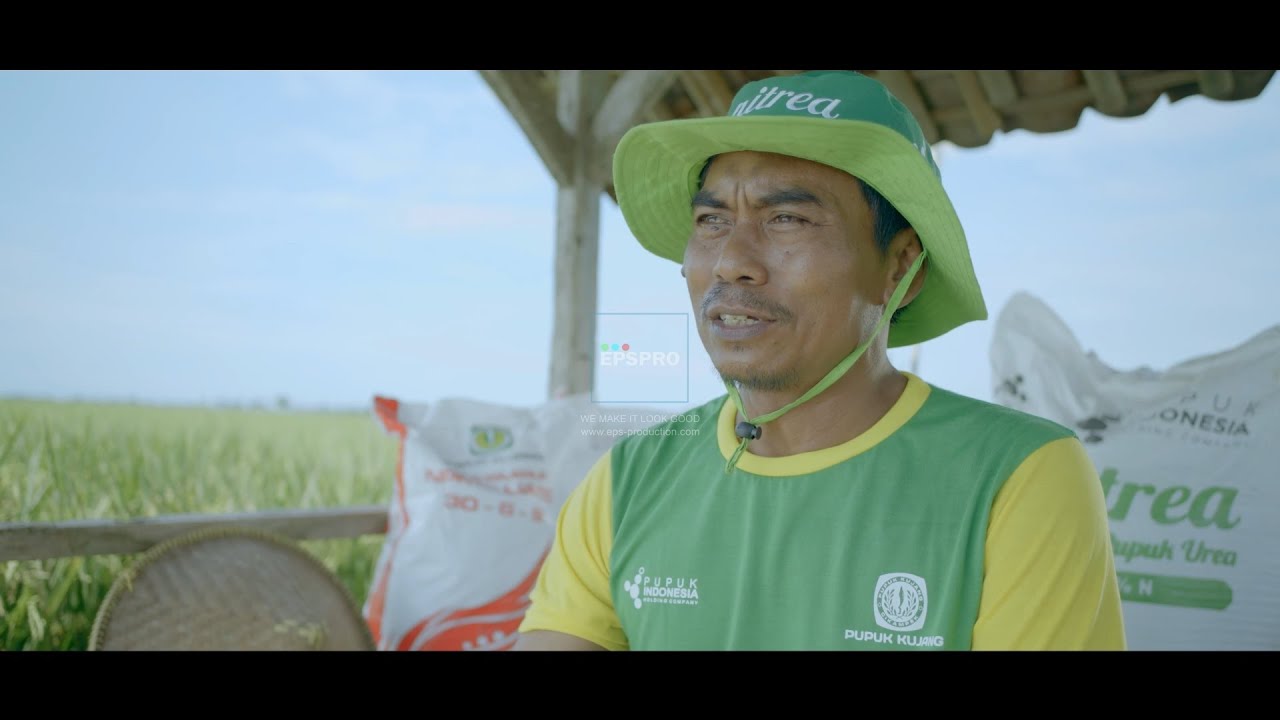 PUPUK KUJANG 50 Tahun Emas 