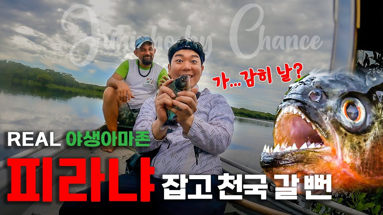 공포의 아마존 피라냐를 낚았습니다...얘네들 진짜 쎈가 실험하다간 손가락 날아감 DAY-3 [어쩌다브라질🇧🇷 EP04]